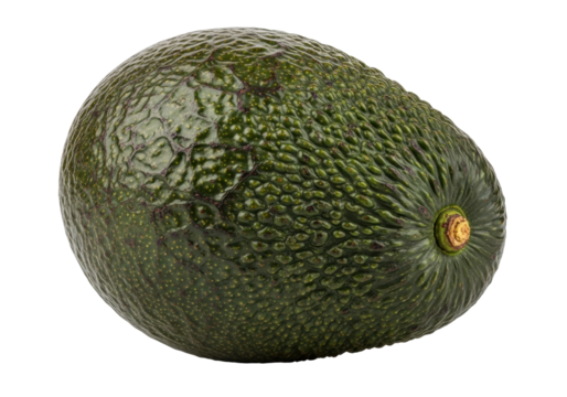 Dark green Hass avocado isolated PNG, whole fruit with bumpy skin and stem end, healthy food ingredient on transparent background