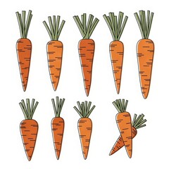 Various illustrations of colorful carrots with green tops  