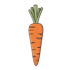 Cartoon carrot illustration with green leaves on white background  