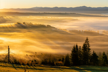 Golden hour and a beautiful autumn spectacle of sunlight and mists in the valley.