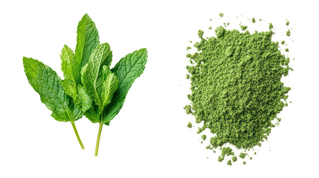 Fresh mint leaves and dried mint flakes isolated on transparent background