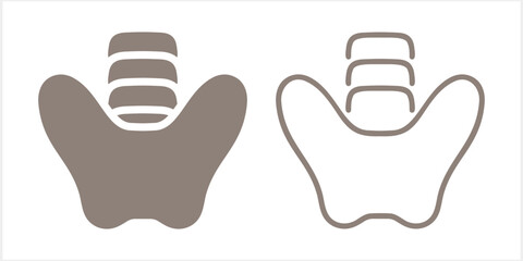 Pelvic area vector icon set isolated. A human skeleton. Vector stock illustration