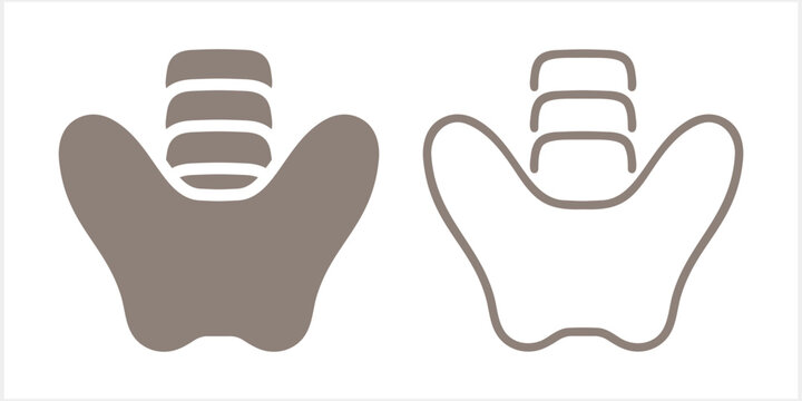 Pelvic area vector icon set isolated. A human skeleton. Vector stock illustration