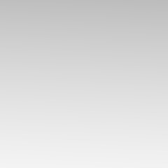 Png Isolated PNG Black Branch Overlay with Transparent Background