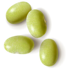 Four light green kidney beans with subtle texture detail isolated on a white background casting soft shadows