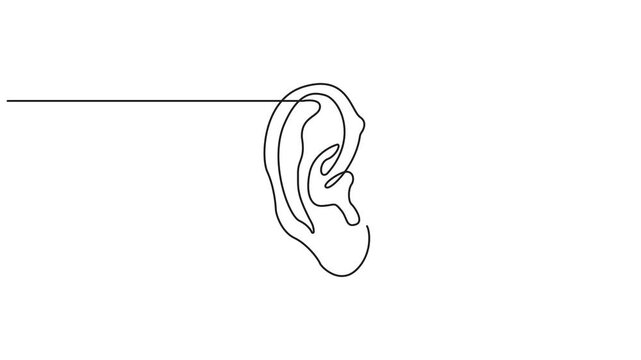 Human ear continuous one line art drawing, abstract, ear outline, minimalist, vector single line 4k animation video  on White background.