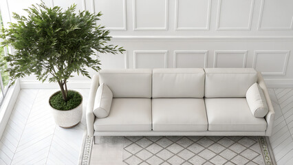 Top view modern sofa and plant in living room on white
