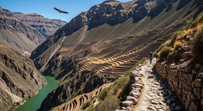 Andean heights, agricultural terraces meet the canyon landscape under the soaring condor's wing - Powered by Adobe