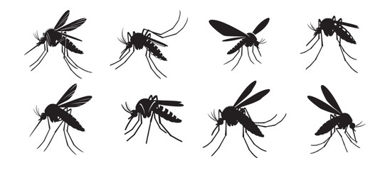 Set of Mosquito Silhouettes, Detailed Black Mosquitos, Insect Vector Icons, Pest Control Design Elements