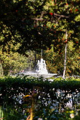 Fototapete bei efototapeten.de bestellen   