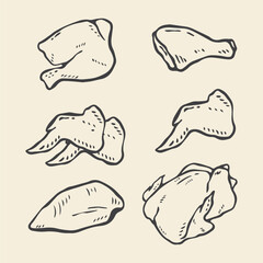 vector illustration of a chicken