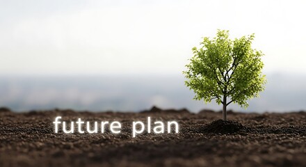 A small tree growing in soil with the words future plan superimposed on the foreground view