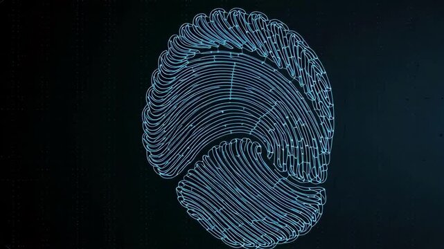 Fingerprint biometric security and digital identification with HR analytic management