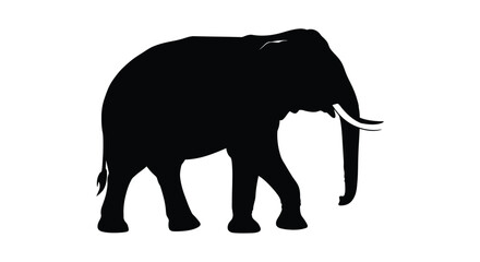 Fototapeta premium A striking black silhouette of an african elephant in a simple design