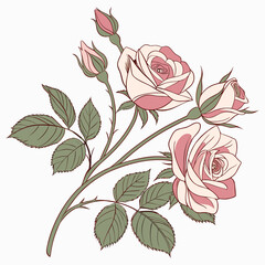 Pink Roses Clipart, Roses bouquet, Printable Watercolor clipart, Watercolor clipart of a bouquet of pink roses, suitable for printing and decorative purposes. 
