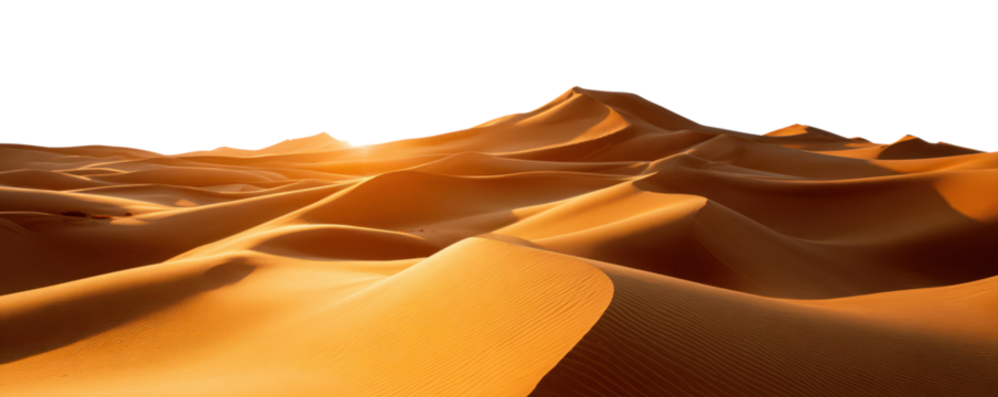 desert sand dune in bright sunlight landscape isolated on white or transparent png