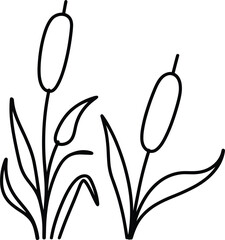 Simple Line Drawing of Two Cattails with Leaves bulrush reed