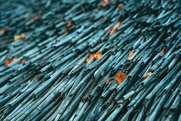 Closeup of weathered reed stalks with scattered autumn leaves, rustic organic texture in soft natural light.
