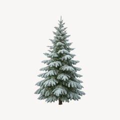 Obraz premium Snow-covered evergreen tree element.