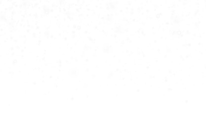 snow and white sparkles