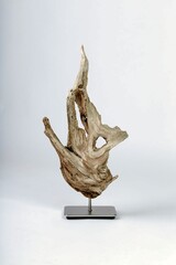 Fototapeta premium A statue of an angel