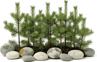 Create Small pine trees and stones on white background.
