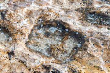 Close-up of rock texture submerged in clear sea water, reflecting sunlight. Beautiful natural summer background