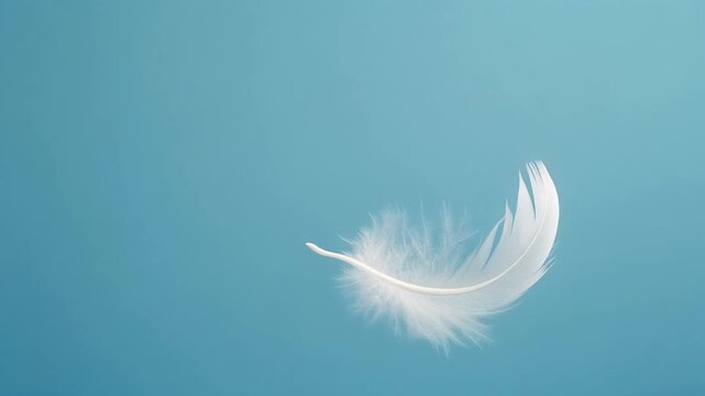 Slow motion video of a single white feather falling gracefully against a calm pastel blue background
