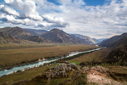 A fast-flowing cold river winding through the autumnal landscape of the Altai Republic, Russia surrounded by golden trees and rugged mountain scenery