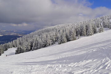 Ski slope in winter on Pilsko mountain in Beskidy, Poland