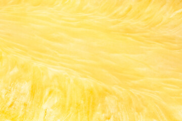 Fototapeta premium sliced pineapple texture closeup detail