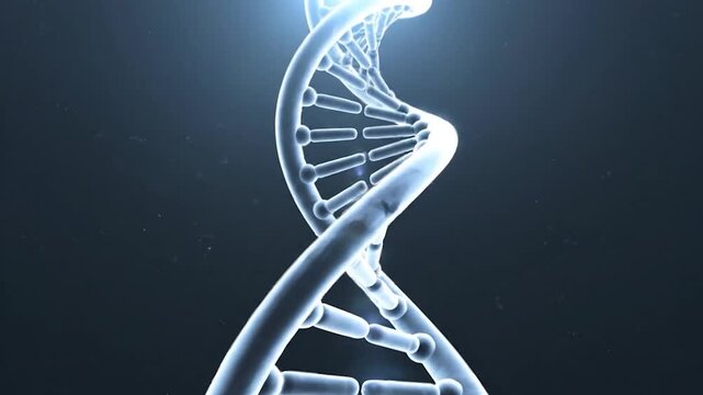 Glowing blue D N A helix rotating slowly against a dark background with subtle light flares and