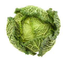 Fototapeta premium savoy cabbage path isolated on white top view