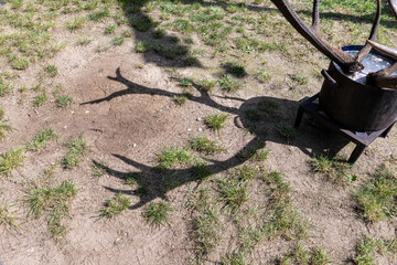 Jagdtroph&auml;enbehandlung