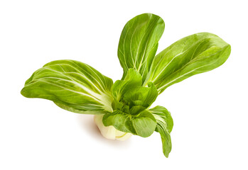 bok choy cabbage path isolated on white