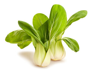 bok choy cabbage path isolated on white