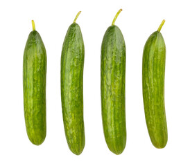 cucumbers path isolated on white