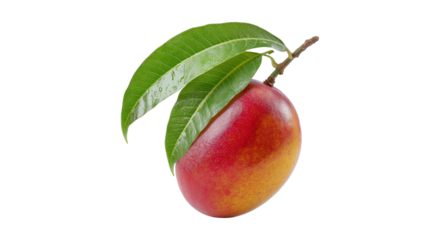ripe mango with leaf isolated on transparent background, cut out