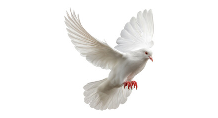 realistic white dove flying wings spread freedom bird peace symbol isolated on transparent background, png
