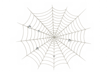 Spiderweb with water drops on transparent background creating a spooky and delicate halloween nature texture design