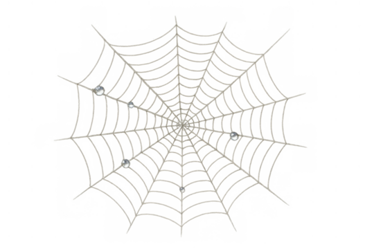 Spiderweb with water drops on transparent background creating a spooky and delicate halloween nature texture design