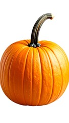 Obraz premium A bright, orange pumpkin stands upright with a slightly curved, dark stem on a crisp, isolated, white backdrop