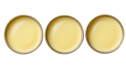 Evaporated Milk, Condensed Milk, and Dairy Pudding Overhead — Three Sets on Transparent Background