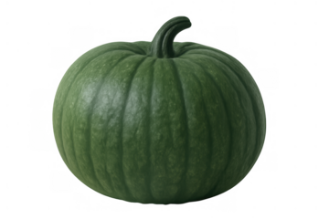 Green pumpkin showing ribbed texture and stem, an autumn vegetable, ready for carving or decoration, with a transparent background