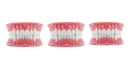 Three Realistic Dentures Dental Prosthetics Artificial Teeth Medical Model Healthcare Oral on transparent background