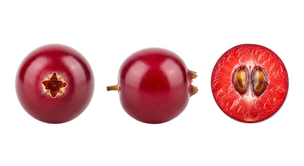 Cranberry Still Life Red Berry Fruit Showcase Detailed Cut Cross Section Vibrant Color Dark on transparent background