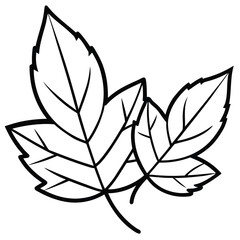 black and white flower illustration with leaves and floral design