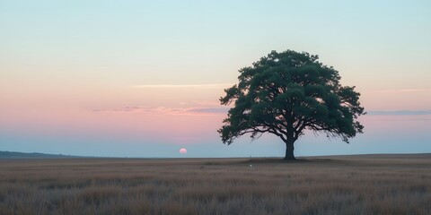 Majestic Lone Tree Silhouette Against Beautiful Sunrise Background