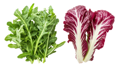 Fresh arugula and radicchio leaves isolated on transparent background
