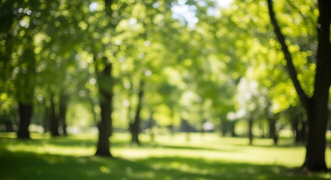 Abstract Soft Focus Green Trees and Sunlight Landscape Background - Powered by Adobe